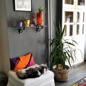 Suna Yıldızoğlu Instagram - Yavaş yavaş evimi istediğim hale getiriyorum. Yastıklar ve mobilya döşemesi @hazedesigntekstil @haze_design_lab 🙏🙏🙏🙏❤️