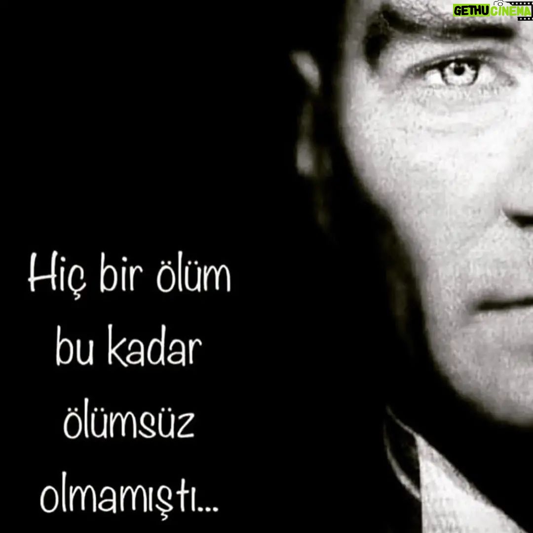 Suna Yıldızoğlu - 1.4K Likes -