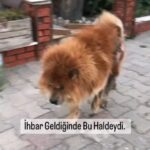 Suna Yıldızoğlu Instagram -