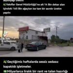 Suna Yıldızoğlu Instagram -