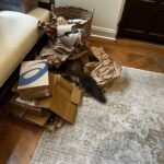 Sunny Hostin Instagram - Luna thinks she’s hiding inside of the recycling. Um Luna - we can see your very bushy tail……