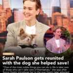 Sunny Hostin Instagram – We reunite @mssarahcatharinepaulson with the dog she rescued after being hit by a car that our @Sunny Hostin later adopted! SWIPE TO WATCH.