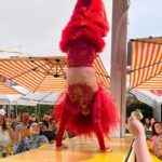 Sunny Hostin Instagram - I had the best time at @rhousewynwood over the weekend! Even my mother came in her Sunday best! My feet still hurt from dancing!😂 R House Wynwood