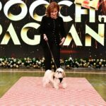 Sunny Hostin Instagram – Congrats to @Sunny’s pups Harlow and Finn who won #TheView’s first ever pooch pageant! Tap our link in bio to hear Sunny discuss her big win on our #BehindTheTable podcast!