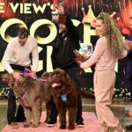 Sunny Hostin Instagram - Congrats to @Sunny's pups Harlow and Finn who won #TheView's first ever pooch pageant! Tap our link in bio to hear Sunny discuss her big win on our #BehindTheTable podcast!