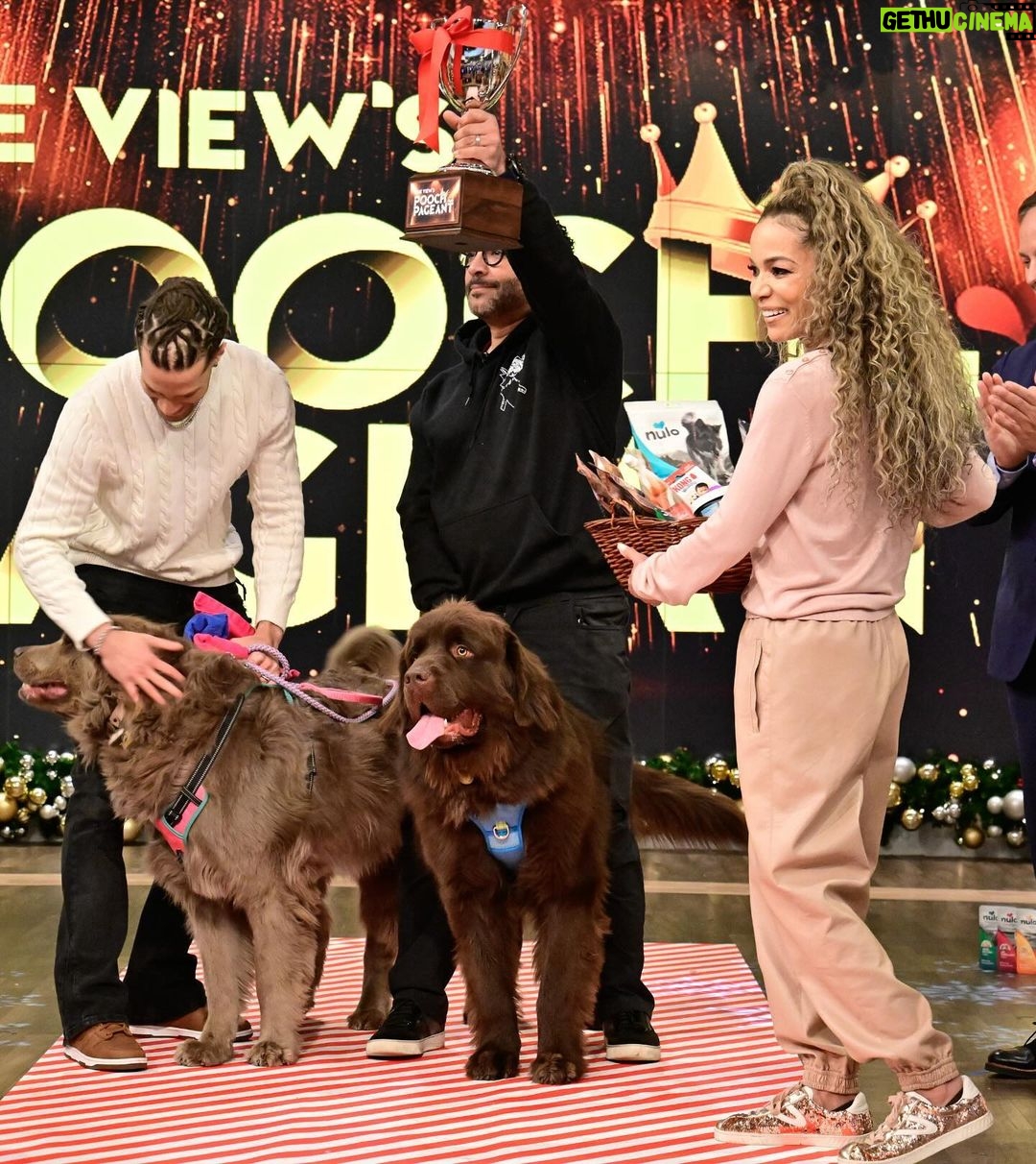 Sunny Hostin Instagram - Congrats to @Sunny's pups Harlow and Finn who won #TheView's first ever pooch pageant! Tap our link in bio to hear Sunny discuss her big win on our #BehindTheTable podcast!