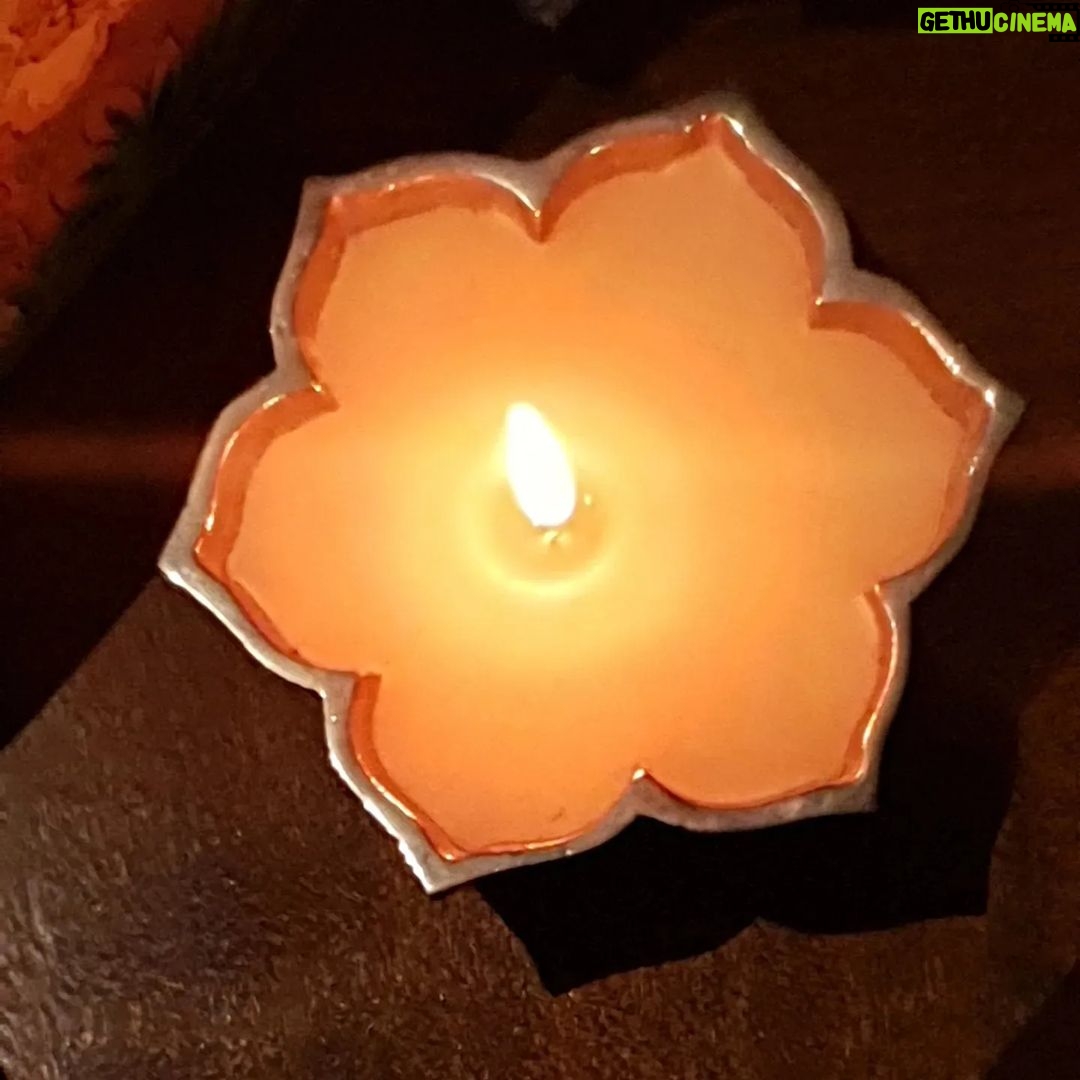 Supriya Shukla Instagram - धनतेरस की शुभकामनायें 🙏... सबका घर खुशियों से भरा रहे... लक्ष्मी माँ की कृपा सदा बनी रहे 🙏🙏