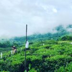 Susan Carland Instagram - Borneo is stunning! I’m here for work, and it’s beautiful, hot, and rainy (guess that’s where the “rain” in rainforest comes from). And if any of my @monash.arts Bachelor of Global Studies students follow me: if you’re doing 2nd or 3rd year next year, you can do LFSC3 with me here as an intensive in June/July! It’s going to be ace (and hot. Really hot). A hint about the topic we’ll be focusing on is in one of the pics 🙃 @monash_uni