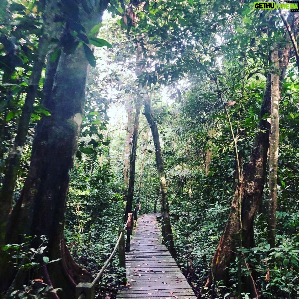 Susan Carland Instagram - Borneo is stunning! I’m here for work, and it’s beautiful, hot, and rainy (guess that’s where the “rain” in rainforest comes from). And if any of my @monash.arts Bachelor of Global Studies students follow me: if you’re doing 2nd or 3rd year next year, you can do LFSC3 with me here as an intensive in June/July! It’s going to be ace (and hot. Really hot). A hint about the topic we’ll be focusing on is in one of the pics 🙃 @monash_uni