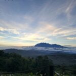 Susan Carland Instagram – Having a hideous time leading a study tour to Borneo with @monash.arts @monash_uni 

.
Terrible and stressful at all times
.

(Assaulted by fish pic 2. #violence) Sabah, Malaysia