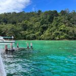 Susan Carland Instagram – Having a hideous time leading a study tour to Borneo with @monash.arts @monash_uni 

.
Terrible and stressful at all times
.

(Assaulted by fish pic 2. #violence) Sabah, Malaysia