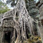 Susan Carland Instagram - Cambodia