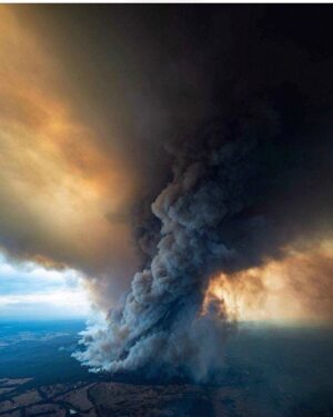 Susan Carland Instagram - The fires in Australia are so big, they’re creating their own weather system. 
In the short-term, donate to the one of the many orgs helping (Country Fire Authority, Red Cross, Salvos, etc) if you can. And in the long-term, push for serious action on climate change. Photo via @danielandrewsmp & @dale_appleton