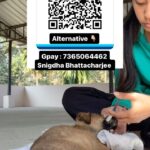 Swastika Mukherjee Instagram – PLEASE WATCH TILL THE END

Kindness comes at no expense, but this puppy paid the price for human recklessness through a fractured leg. Let’s unite and assist this puppy in getting back on its feet.

Google Pay us at : 73650 64462 (Snigdha Bhattacharjee)
OR
Scan Above from the Reel.

PS: Please share us the screenshot ❤️

#compassion #animal #ngo #teamwork #india #donation Siliguri