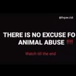 Swastika Mukherjee Instagram – Stop animal abuse 🙏
.
.
.
.
.
.
.
.
.
.
.
.
.
.
.
.
.
.
.

#reels #explorepage #engagement #animalrescue #streedog #stopanimalabuse #crueltyfree #instagood