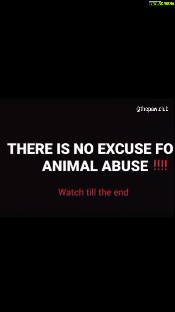 Swastika Mukherjee Instagram - Stop animal abuse 🙏 . . . . . . . . . . . . . . . . . . . #reels #explorepage #engagement #animalrescue #streedog #stopanimalabuse #crueltyfree #instagood