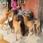 Swastika Mukherjee Instagram – Har jeev ko bhoonk lagti hai, bas bohot hai jo humari bhasha bol nahi paate 🥺