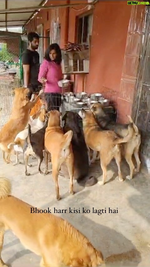 Swastika Mukherjee Instagram - Har jeev ko bhoonk lagti hai, bas bohot hai jo humari bhasha bol nahi paate 🥺
