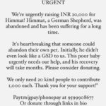 Swastika Mukherjee Instagram – Please donate and help this doggo live. 🙏🏻 To donate: Paytm/gpay/phonepay at 9599908678 

Via @funandfur 

CAN YOU BELIEVE ITS A GERMAN SHEPHERD?
REQUESTING EVERYONE TO PLEASE COME FORWARD AND DONATE! OUR BILLS OUR JUST PILING UP AND WE ARE RESCUING COUNTLESS OF BABIES.
Paytm/gpay/phonepay at 9599908678
