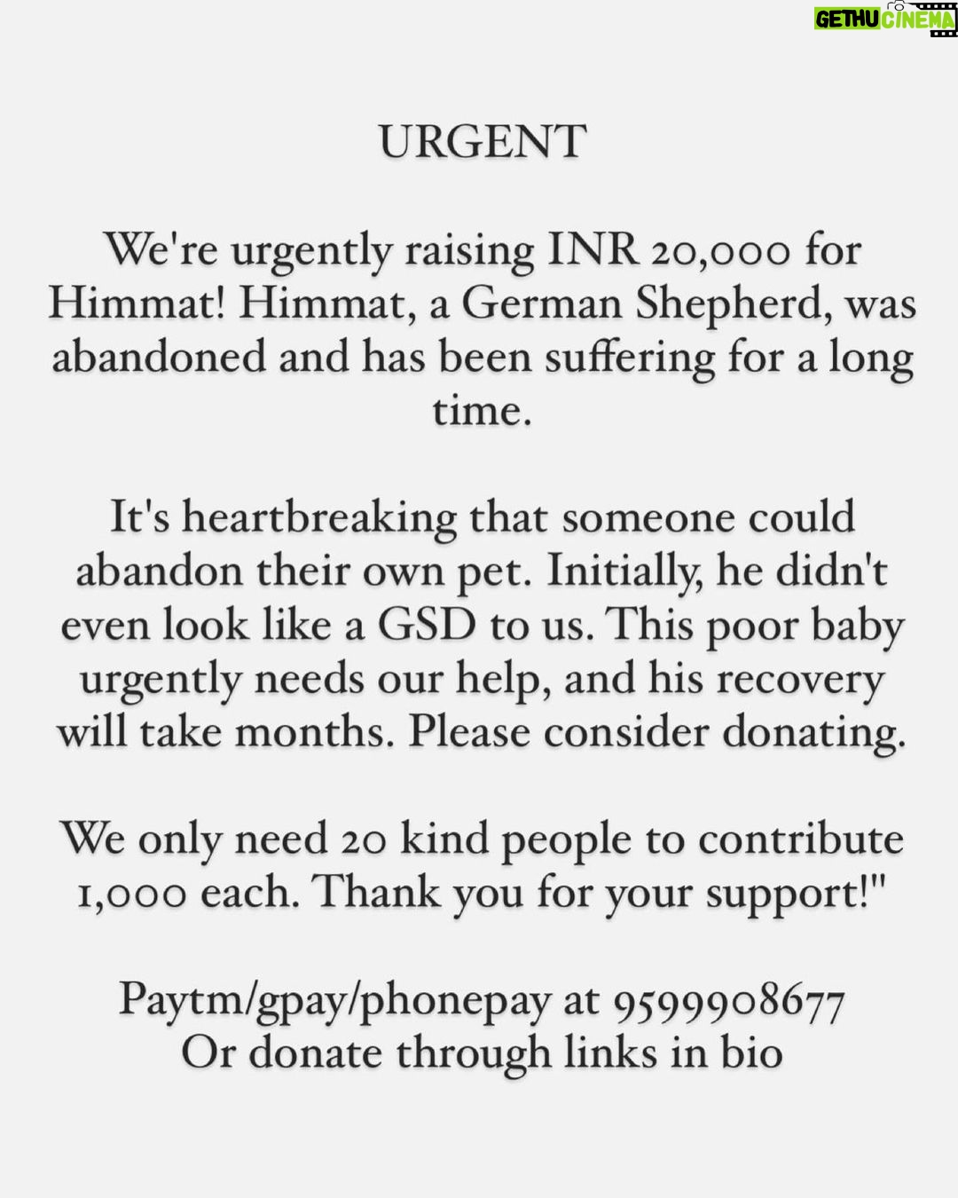 Swastika Mukherjee Instagram - Please donate and help this doggo live. 🙏🏻 To donate: Paytm/gpay/phonepay at 9599908678 Via @funandfur CAN YOU BELIEVE ITS A GERMAN SHEPHERD? REQUESTING EVERYONE TO PLEASE COME FORWARD AND DONATE! OUR BILLS OUR JUST PILING UP AND WE ARE RESCUING COUNTLESS OF BABIES. Paytm/gpay/phonepay at 9599908678