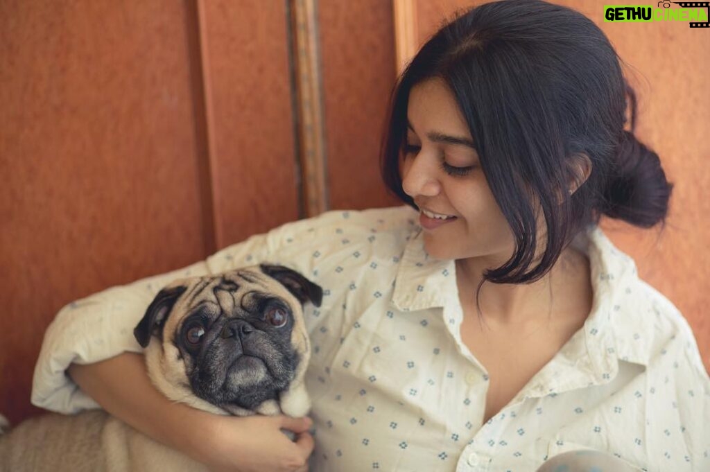 Swathi Reddy Instagram - Puppies. Weekends. Lazy mornings and no make up. All my favourite things. Btw, I love Peanut ( the pug fellow in the pic ) @lenskumar Thank u for this pic. One of my favourite :) #White #Puppies #Chill