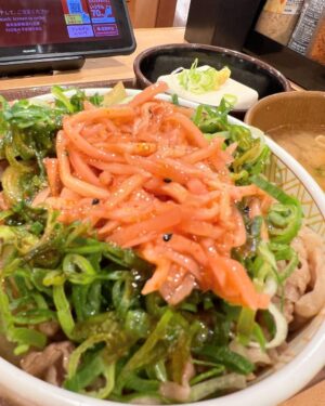 Tadanari Lee Instagram - 代表戦解説🎙️と夜中の牛丼

#日本代表
#何年振りの牛丼だろ
#ネギ七味たまご紅生姜かけ牛丼
#学生時代の救世主