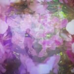 Takashi Sakurai Instagram - 蜷川実花展に伺って来ました 先日ひょんなご縁で実花さんにお会いさせて頂いた時にお話しされていたこちらの展覧会 居ようと思えばあと2時間くらい余裕でずっと見ていられるようなそんな素敵な空間でした みなさまも是非ご体験下さい！ 「蜷川実花展 Eternity in a Moment瞬きの中の永遠」 2023.12/5-2024.2/25 TOKYO NODE 45 BE GALLERY A/B/C #蜷川実花展eim #100万色の桃源郷へ #tokyonode #mikaninagawa #蜷川実花