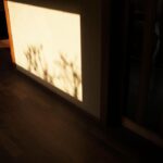 Takashi Sakurai Instagram – 唐津ちょとりっぷ

#佐賀県
#唐津
#leicam11p 虹の松原