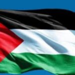 Tamer Hosny Instagram - اللهم انصر فلسطين 🇵🇸 الدعاء ليهم يا جماعه 🤲 هم في اشد الحاجه للدعاء و المساعده بكل ما نملك