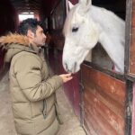 Tansel Öngel Instagram - Sezar🤍