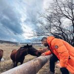 Tansel Öngel Instagram - 🐴❄️🟠 Tbilisi, Georgia