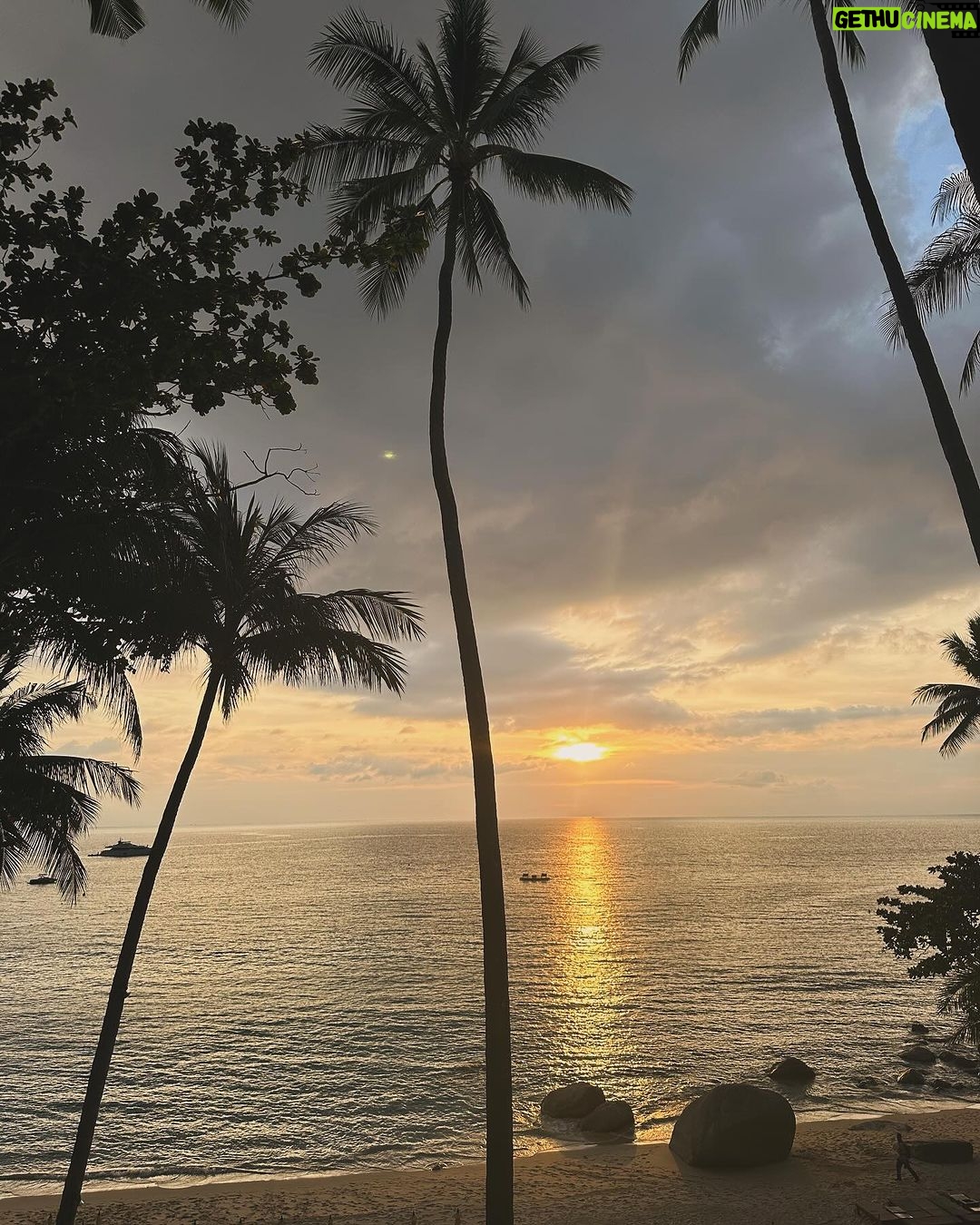 Taylor Hill Instagram - 🍯🌙 pt 4 ( ACOTAR update- book one done and HOLY MOLY best book I’ve read in a LONG time) Phuket, Thailand