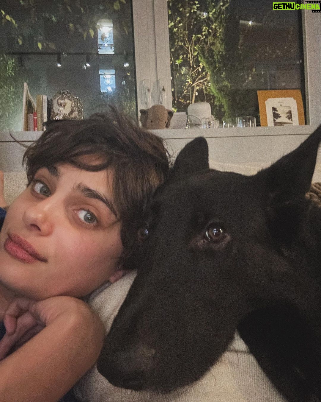 Taylor Hill Instagram - You already know what day it is! #salemsaturday my gorgeous black cat 🐈⬛