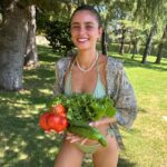 Taylor Hill Instagram - 🍅 👧