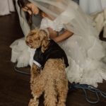 Taylor Hill Instagram - An update on Tate - HE MADE IT TO THE WEDDING! It was truly a miracle and I believe it was because he had so many people praying for him and sending him healing energy, that he was able to make it to our wedding. It meant so much to me to have him there with me on this day. There was a time earlier in the week that I thought he wouldn’t make it. It was the craziest timing with Tate’s health on a severe decline the week of our wedding and I’m just so happy he pulled through in the end. Today Tate is doing SO much better. We were able to get his feeding tube removed and he seems to have his appetite back and he’s eating again. He has energy and seems to be more like his normal self. He’s responding well to his medications and chemotherapy treatments. As long as he seems up for the fight so am I. So thank you yo everyone who held Tate close and in your heart. He was my first love so having him with me meant the world to me.
