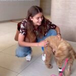 Taylor Hill Instagram - From our visit today. Tate was so happy and excited to see me it made me so happy to see him finally. It was killing me not being able to be with him. And it’s so hard seeing him this sick. Dogs are such beautiful amazing creatures and this little soul has been the biggest blessing in my life. I will cherish every moment I have left with him. To anyone who has gone through this before, I see you and you’re not alone. And thank you all for always being there for me.
