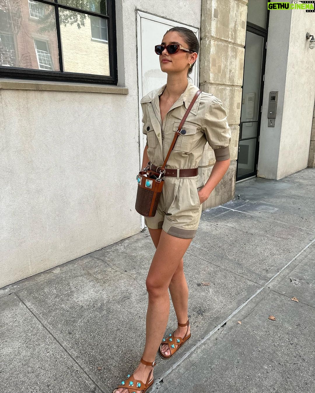 Taylor Hill Instagram - Drinking my greens 🥬 also why do dogs always photobomb me? I swear they’re everywhere 🤗