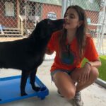 Taylor Hill Instagram - I had the most special and unforgettable experience in Georgia volunteering with @animalaidusa at their base camp. Their mission is to empower people to make changes in the lives of shelter animals through education, awareness & resources. For the past 11 years, they have relocated 250 animals on average monthly from kill-shelters to loving homes via caravans. It was an honor to be a small part of this month’s rescue mission. I of course made sure to introduce myself to every single sweet doggo before they were sent to find their forever homes. I am so excited to share even more with you about this incredible 100% volunteer organization! 🐾🤍 Blackshear, Georgia
