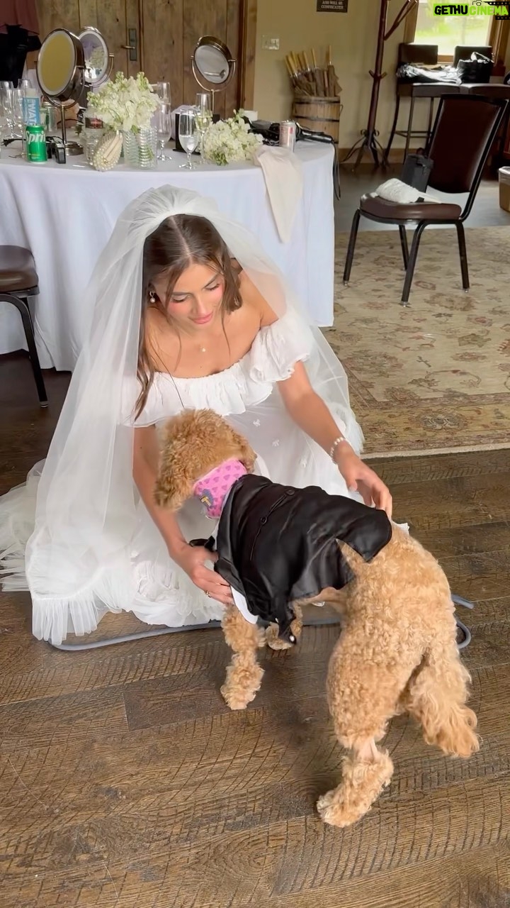 Taylor Hill Instagram - 2023 was a big year, full of love and loss. So much happiness and grief but above all gratitude. Looking forward to the next year and so many exciting things in the works ✨ 👼🏼 P.S for Tate, Thank you to my beautiful angel Tate for being there for me through all the most important moments in my life I’m forever grateful for you.
