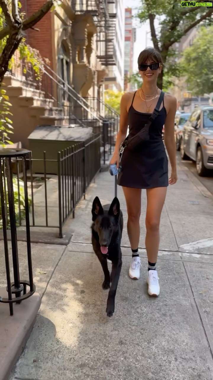 Taylor Hill Instagram - Happy 1st birthday *we think you were born this week* 🤣 Love my sweet baby dragon, catdog! 🐈⬛🖤