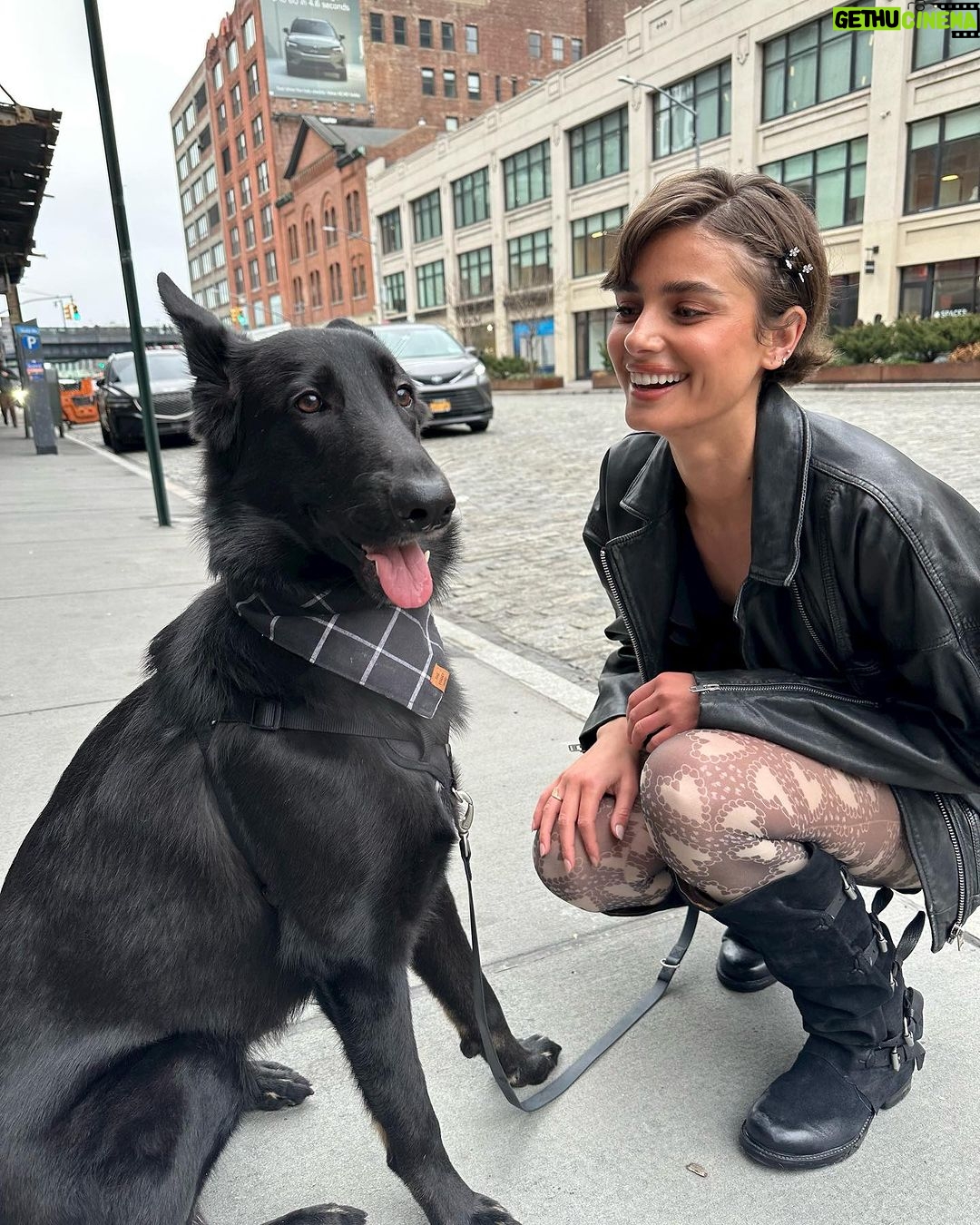 Taylor Hill Instagram - Salem Saturday with my beautiful catdog 🐈⬛🖤 #salemsaturday