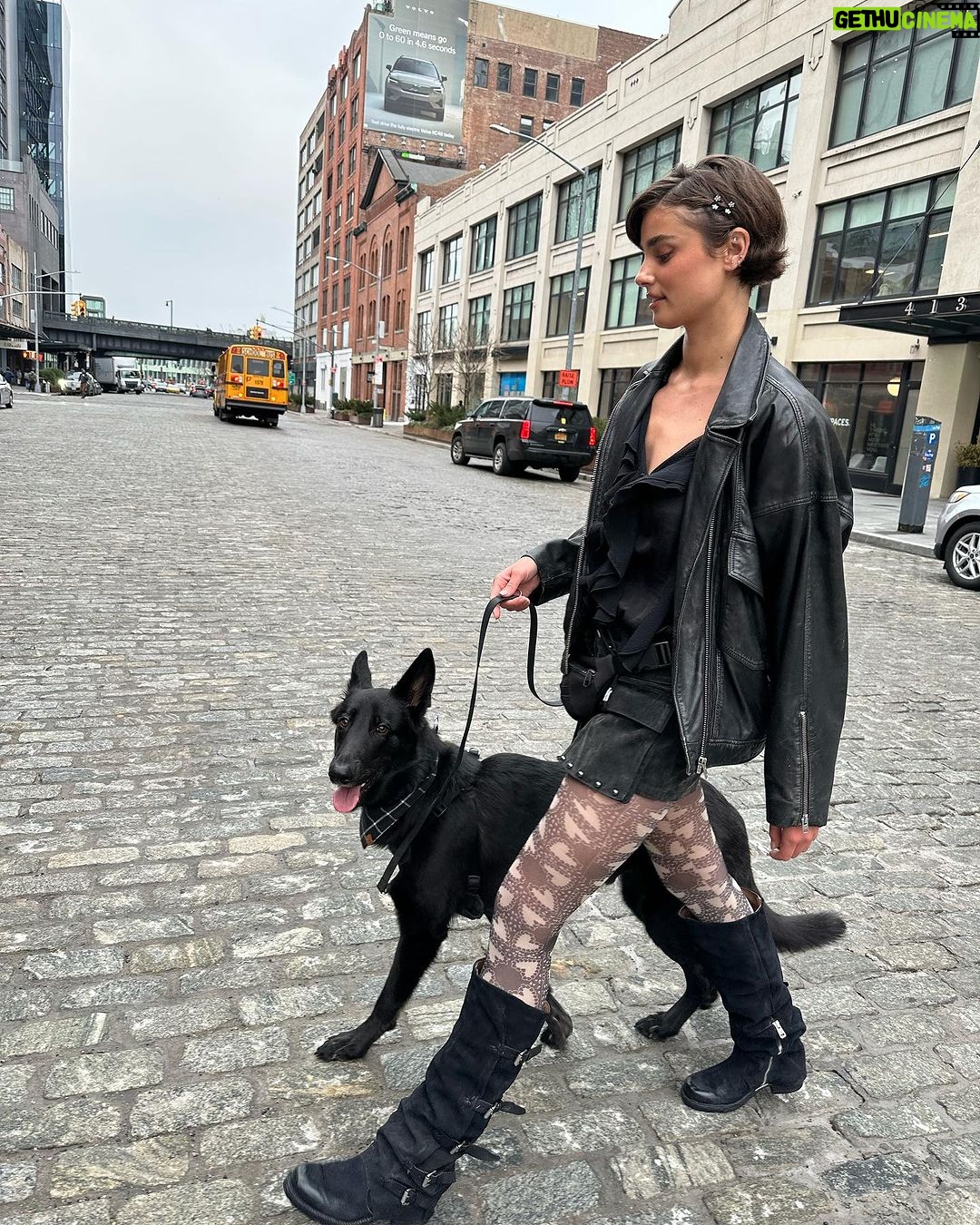 Taylor Hill Instagram - Salem Saturday with my beautiful catdog 🐈⬛🖤 #salemsaturday