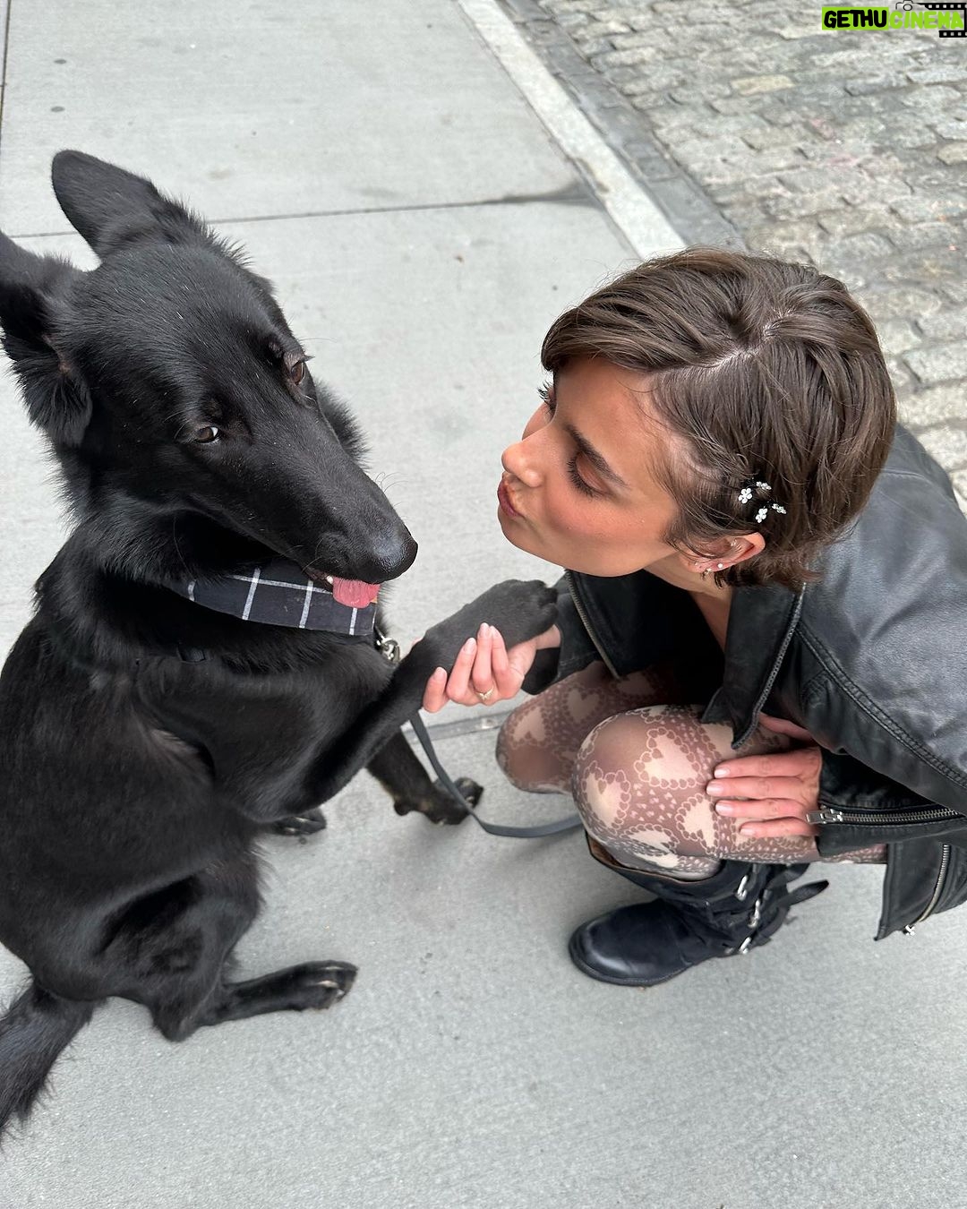 Taylor Hill Instagram - Salem Saturday with my beautiful catdog 🐈⬛🖤 #salemsaturday