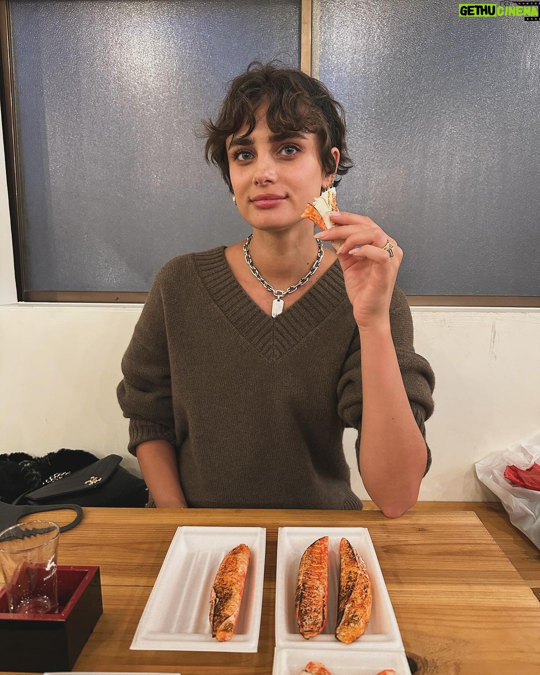 Taylor Hill Instagram - 🍯🌙 pt 6 Kyoto, Japan