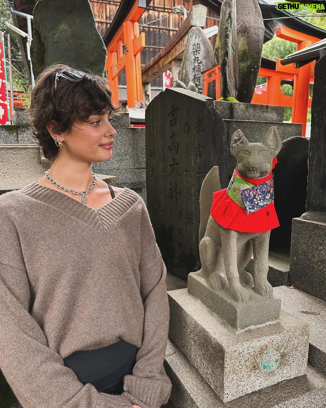 Taylor Hill Instagram - 🍯🌙 pt 6 Kyoto, Japan