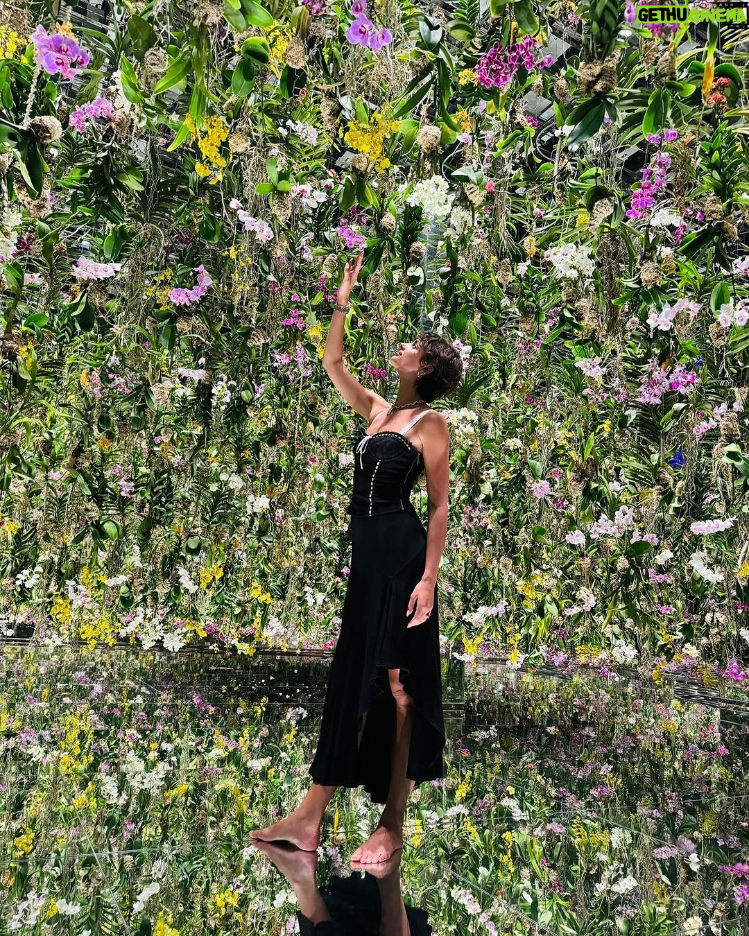 Taylor Hill Instagram - Thank you @teamlab.planets for having me while in Tokyo π₯°πβ¨ teamLab Planets TOKYO / γγΌγ γ©γγγ©γγγ