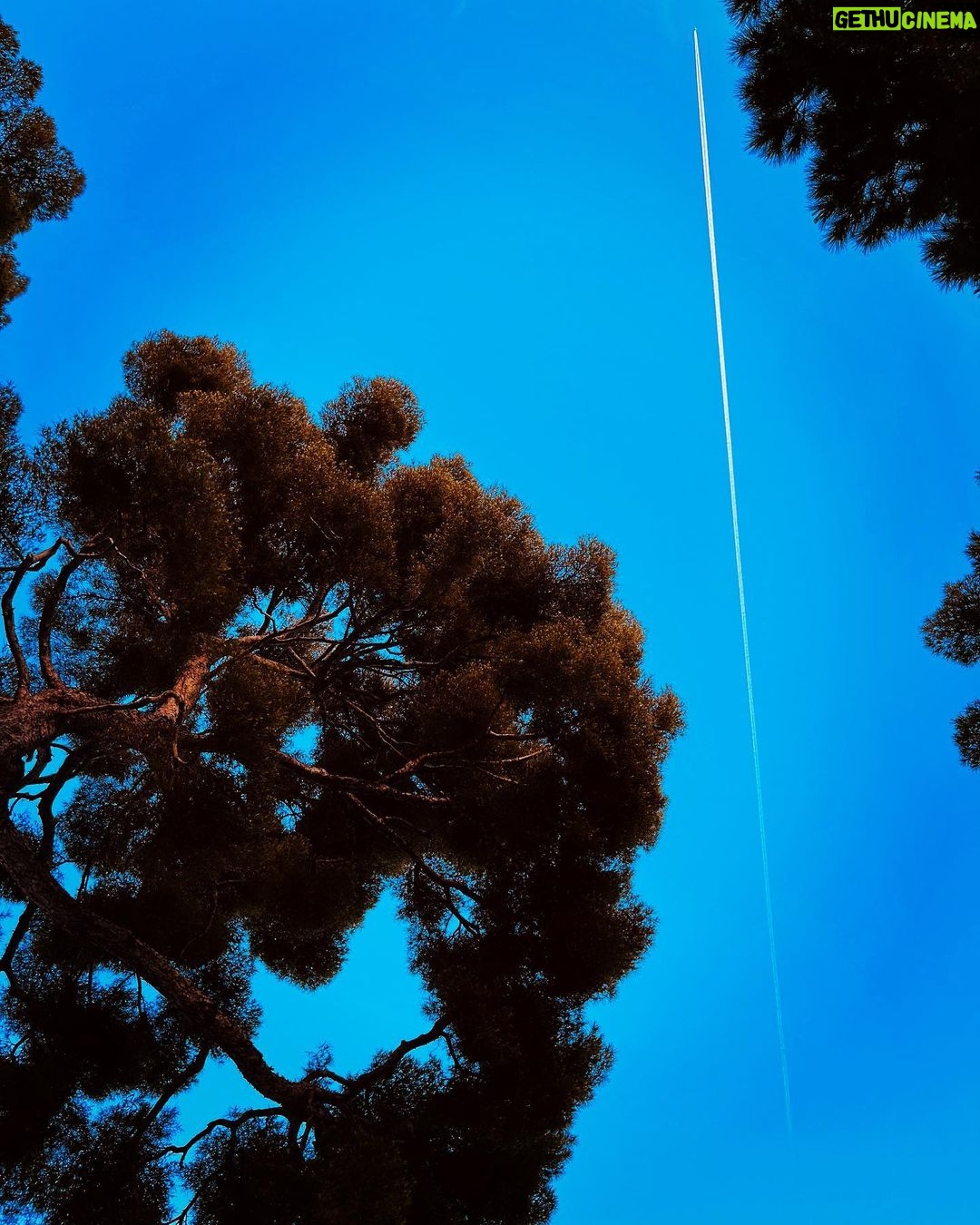 Ted Kravitz - 3.6K Likes - Air France A319 contrail, Beaulieu-Sur-Mer. Monaco 2023.
