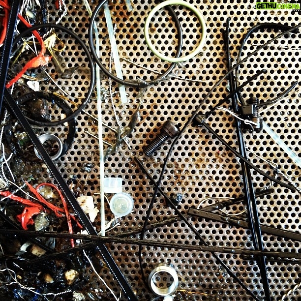 Ted Kravitz - 37 Likes - Oil drain, Suzuka, Japan