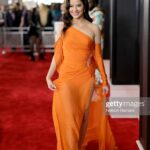 Tessa Brooks Instagram - Grammys ⭐️