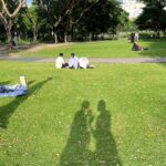 Thasorn Klinnium Instagram - 🐇 อุทยาน ๑๐๐ ปี จุฬาฯ (CU Centenary Park)